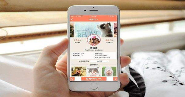 熱烈祝賀登騰商戶端APP成功上線